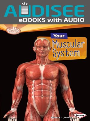 cover image of Your Muscular System